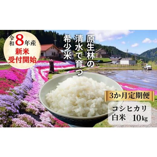 ふるさと納税 米 コシヒカリ 岡山県 西粟倉村 [先行予約 2026年10月発送] 3回定期便 白米 10kg 令和8年産 コシヒカリ 岡山 「おおがや 芝桜米」 G-ag-BFZA