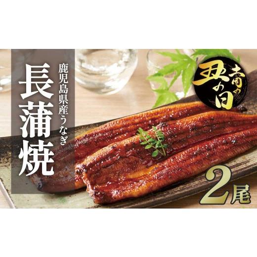 ふるさと納税 うなぎ 鹿児島県 大崎町 土用丑の日 ふるさと納税限定 鹿児島県大崎町産 国産 うなぎ長蒲焼 2尾 計320g以上 | 鰻 うなぎ蒲焼き うな重 ひつま…