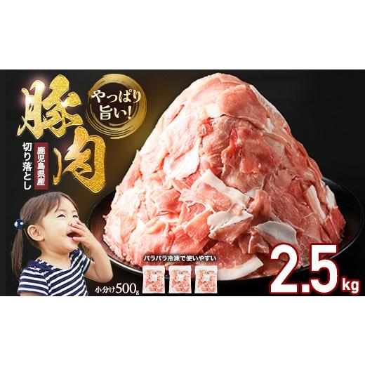 ふるさと納税 豚肉 鹿児島県 長島町 数量限定 2か月以内順次発送 小分け&パラパラで使い勝手抜群 安心の鹿児島県産 豚肉 切り落とし (計2.5kg・500g×5P) 訳…