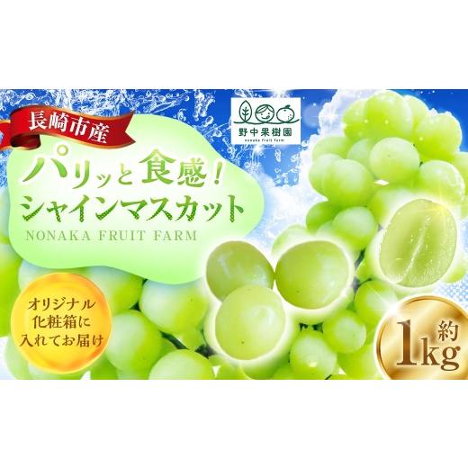 ふるさと納税 ぶどう マスカット 長崎県 長崎市 シャインマスカット 約1kg (2〜3房) 2026年8月上旬〜下旬発送予定 ぶどう 果樹園 香り くだもの 果物 果実 …