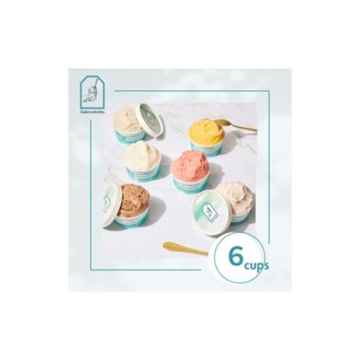 ふるさと納税 アイス・ヨーグルト ジェラート 東京都 新宿区 Gelato MinNa からだにやさしいご褒美ジェラート 6個セット ジェラート ミンナ シャーベット ソル…