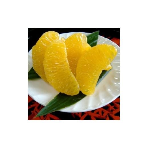 ふるさと納税 果物類 みかん 和歌山県 広川町 和歌山広川町産 さつきはっさく 約5kg 秀品 サイズおまかせ (Lまたは2Lいずれかお届け) 2027年3月下旬から4月下…