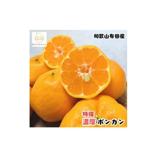 ふるさと納税 みかん・柑橘類 和歌山県 新宮市 先行予約 極甘柑橘 特選 濃厚 ポンカン約1.5kg+200g(傷み補償分) 2027年1月上旬〜3月上旬に順次発送予定 着日…