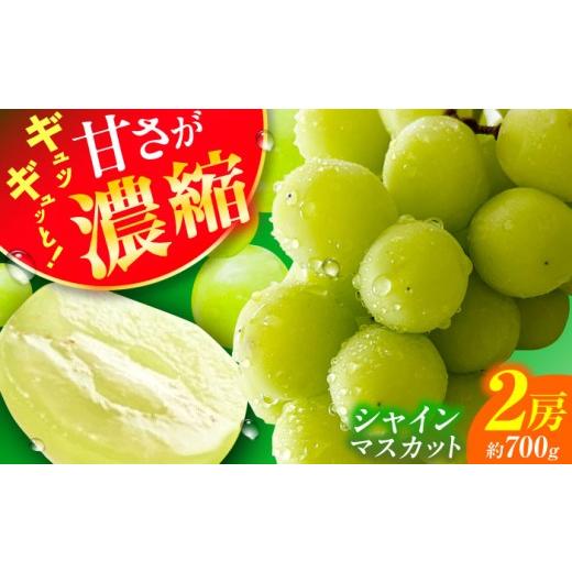 ふるさと納税 ぶどう マスカット 福岡県 広川町 シャインマスカット 2パック 約700g 広川町 / JAふくおか八女農産物直売所どろや AFAB094 2パック