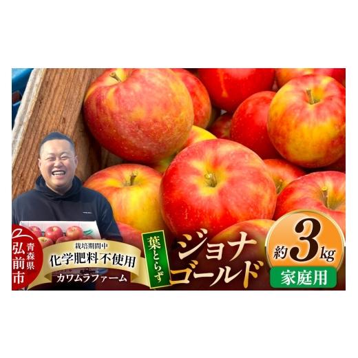 ふるさと納税 りんご 青森県 弘前市 26年10月発送 りんご 葉とらず ジョナゴールド 家庭用 約3kg カワムラファーム 青森県 弘前市 果物 フルーツ 林檎 リンゴ…