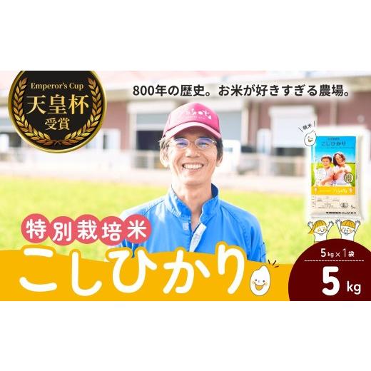 ふるさと納税 米 コシヒカリ 茨城県 龍ケ崎市 定期便3ヶ月 コシヒカリ 5kg 天皇杯受賞 横田農場の特別栽培米こしひかり ? こしひかり コシヒカリ 厳選米 お米…