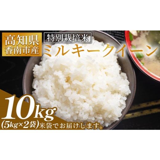 ふるさと納税 米 ミルキークイーン 高知県 香南市 令和8年8月下旬発送 特別栽培米 ミルキークイーン 10kg 高知県香南市産 sr-0003