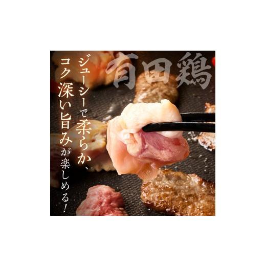 ふるさと納税 牛肉 焼肉・バーベキュー 佐賀県 伊万里市 佐賀の恵み 三種焼肉セット（佐賀牛・有田鶏・肥前さくらポーク）×3セット 015-J1629