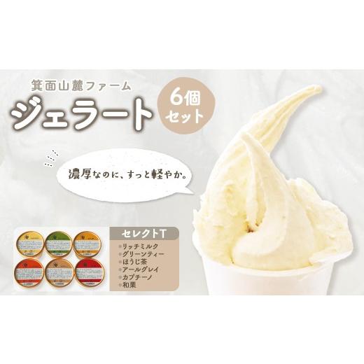 ふるさと納税 アイス・ヨーグルト ジェラート 大阪府 箕面市 箕面山麓ファームジェラート(セレクトT・6個入) m06-44-C 株式会社夢職人 セレクトT