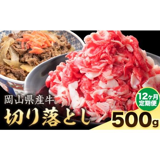ふるさと納税 牛肉 岡山県 笠岡市 12ヶ月定期便 岡山県産牛 切り落とし 交雑牛 500g お試し 大容量[お申込み月の翌月から出荷開始] 岡山県 笠岡市 肉 送料…