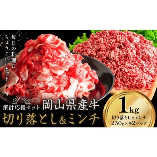ふるさと納税 牛肉 セット 岡山県 笠岡市 牛肉 国産 切り落とし ミンチ セット 家計応援 岡山県産牛 1kg (切り落とし500g・ミンチ500g) 1パック250g[60日以内…