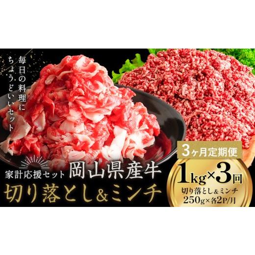 ふるさと納税 牛肉 セット 岡山県 笠岡市 3ヶ月定期便 牛肉 国産 切り落とし ミンチ セット 家計応援 岡山県産牛 1kg×3回 1パック250g[お申し込み月の翌月…