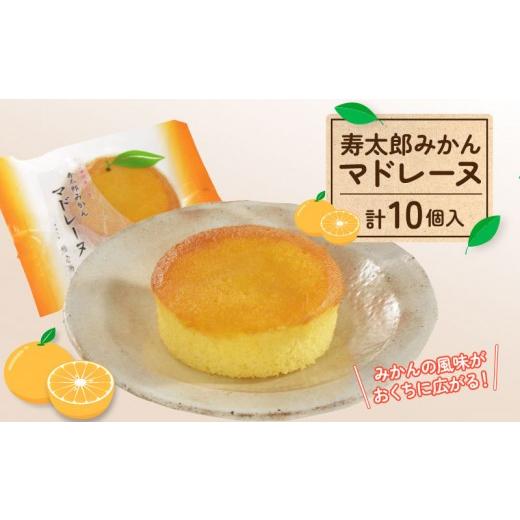ふるさと納税 焼菓子・チョコレート マドレーヌ 静岡県 沼津市 父の日 対応 寿太郎 みかん マドレーヌ 5個 × 2箱 スイーツ 菓子 和菓子 みかん ミカン 焼き…