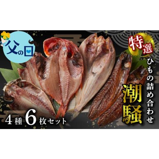 ふるさと納税 干物 静岡県 沼津市 父の日配送・日時指定可 ラッピング対応 干物 特選セット 4種 6枚 潮騒 金目鯛 キンメ あじ 真ほっけ さば 醤油 醤油干し …