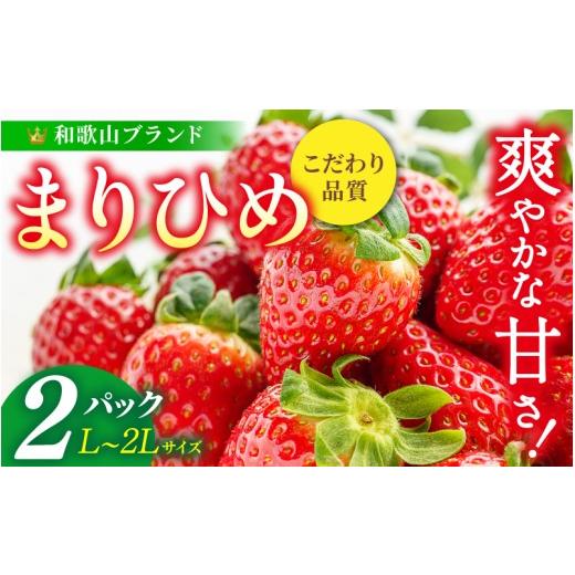 ふるさと納税 いちご 和歌山県 すさみ町 先行予約 まりひめ いちご 12粒〜15粒入り×2パック(500g)2027年1月中旬〜3月下旬頃に順次発送予定(お届け日指定…