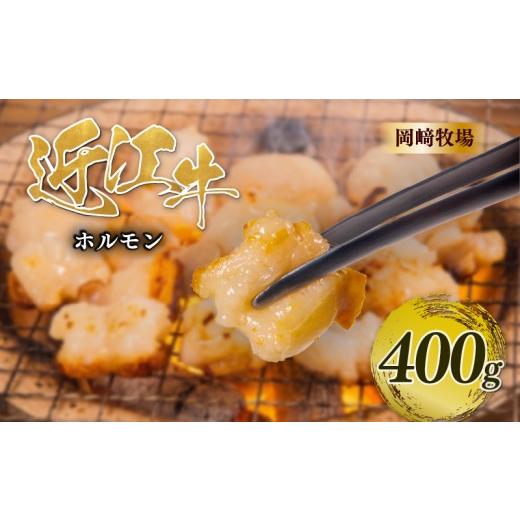 ふるさと納税 牛肉 ホルモン 滋賀県 日野町 近江牛 ホルモン 400g 完熟近江牛 近江日野牛 ふるさと納税 焼肉 やきにく ホルモン ほるもん 小腸 コプチャン プ…