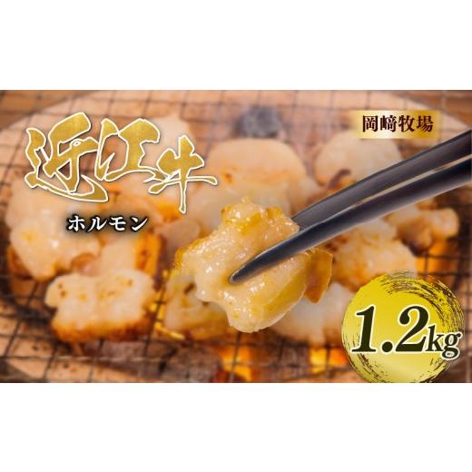 ふるさと納税 牛肉 ホルモン 滋賀県 日野町 近江牛 ホルモン 1.2kg 完熟近江牛 近江日野牛 ふるさと納税 焼肉 やきにく ホルモン 1200g ほるもん 小腸 コプチ…