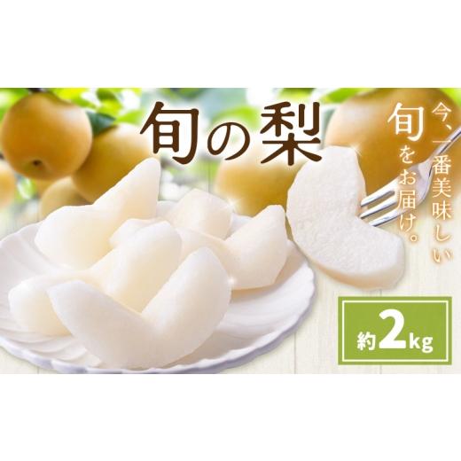 ふるさと納税 果物類 熊本県 氷川町 先行予約 旬の梨 梨 約2kg 株式会社エフビーネット[8月中旬-10月下旬頃出荷]熊本県 氷川町 果物 フルーツ 熊本県産 青果…