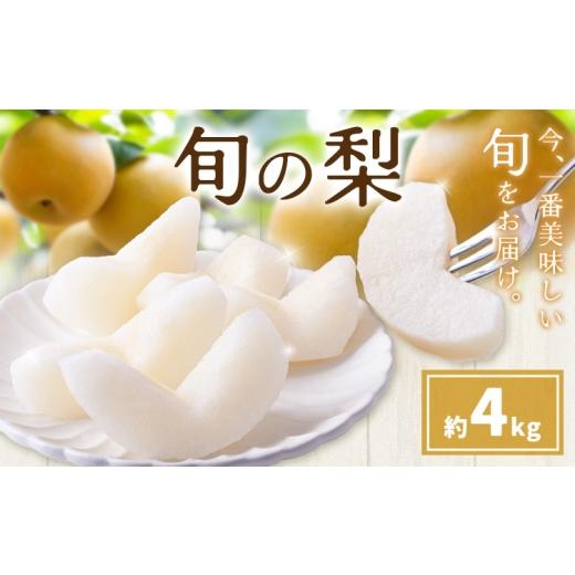 ふるさと納税 果物類 熊本県 氷川町 先行予約 旬の梨 梨 約4kg 株式会社エフビーネット[7月上旬-10月下旬頃出荷]熊本県 氷川町 果物 フルーツ 熊本県産 青果…