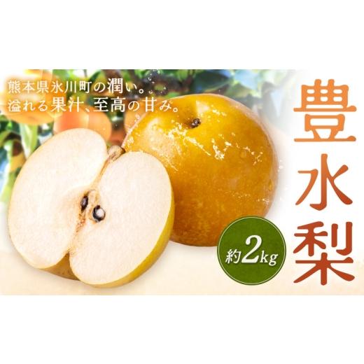ふるさと納税 果物類 熊本県 氷川町 先行予約 旬 梨 フルーツ 豊水梨 約2kg 豊水 株式会社エフビーネット[8月中旬-9月上旬頃出荷]熊本県 氷川町 熊本県 氷川…