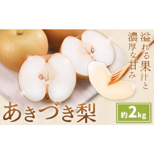 ふるさと納税 果物類 熊本県 氷川町 先行予約 あきづき梨 あきづき 梨 約2kg 株式会社エフビーネット[8月下旬-9月下旬頃出荷]熊本県 氷川町 果物 フルーツ …