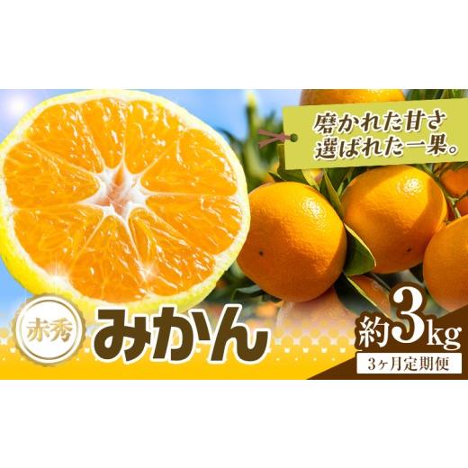 ふるさと納税 果物類 みかん 熊本県 荒尾市 3か月定期便 先行予約 赤秀 みかん 旬 柑橘 蜜柑 鶴田農園 約3kg×3回 [11月上旬-1月下旬頃出荷]極早生 早生 中…