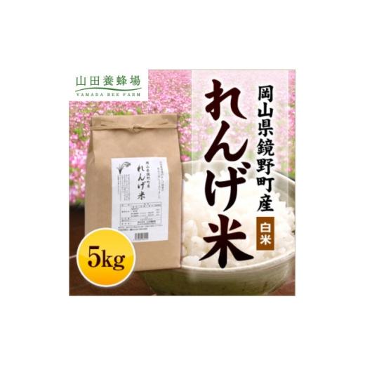 ふるさと納税 米 岡山県 津山市 岡山県産 れんげ米(5kg入)(26552) 1030490