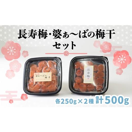 ふるさと納税 加工品等 梅干 群馬県 前橋市 梅干し 2種 セット 長寿梅 婆ぁばの梅干 自宅用 250g×2種 | 梅干し 梅 中梅 長寿梅 梅干しセット 和食 健康食品 …