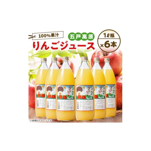 ふるさと納税 果汁飲料 りんご 青森県 五戸町 青森五戸のおんこちゃん 五戸高原りんごジュース100%果汁1L瓶×6本 1186855