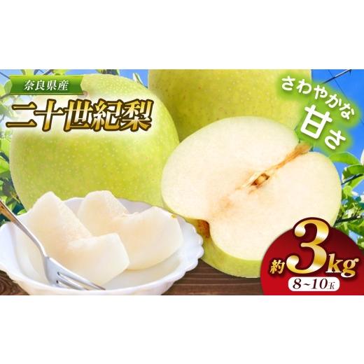 ふるさと納税 梨 奈良県 大淀町 G16 先行予約 二十世紀梨 L 〜 3L サイズ 約3kg 8玉 〜 10玉 | フルーツ 果物 くだもの 梨 なし 二十世紀 産地直送 果汁たっぷ…