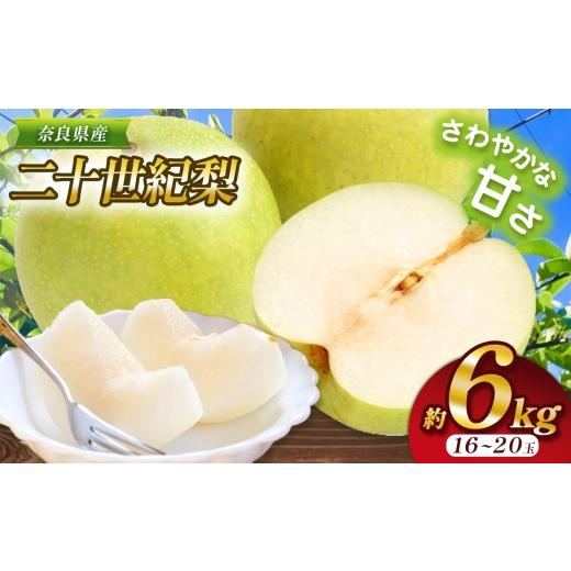 ふるさと納税 梨 奈良県 大淀町 G19 先行予約 二十世紀梨 L〜3L サイズ 約6kg 16〜20玉 | フルーツ 果物 くだもの 梨 なし 二十世紀 産地直送 果汁たっぷり ジ…
