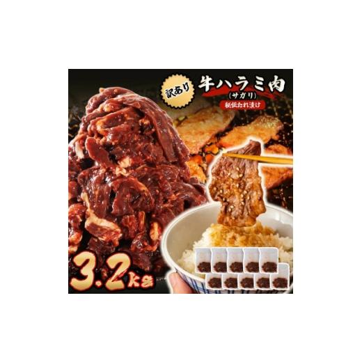 ふるさと納税 牛肉 焼肉・バーベキュー 熊本県 美里町 秘伝たれ漬け 訳あり 柔らか牛ハラミ(サガリ)肉 味付け合計3.2kg 小分け10パック 1718569