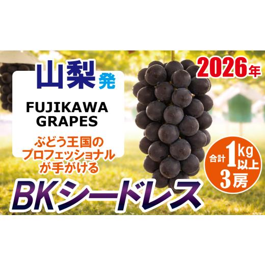 ふるさと納税 果物類 ぶどう 山梨県 富士川町 [秀品以上]上級品をお得に BKシードレス 1.0kg以上(3房) 2026年発送分 先行予約 - FUJIKAWA GRAPES -