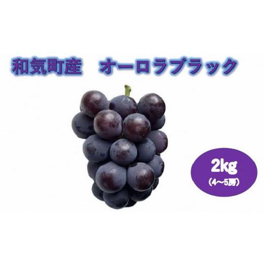 ふるさと納税 果物類 ぶどう 岡山県 和気町 2026年発送 オーロラブラック ぶどう フルーツ 果物 | 2.0kg (4〜5房) | 送料無料 産地直送
