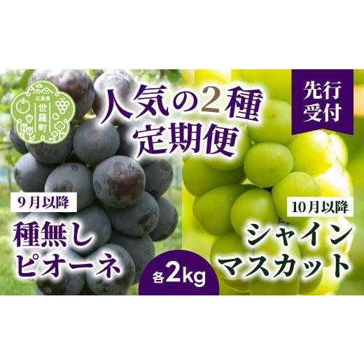 ふるさと納税 果物類 ぶどう 広島県 世羅町 定期便2回 種無しピオーネ シャインマスカット 各2kg 安井農園 ぶどう ブドウ 葡萄 ピオーネ フルーツ 果物 くだ…