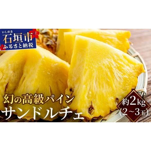 ふるさと納税 果物類 沖縄県 石垣市 先行予約 石垣島産 高級パイン サンドルチェ 約2kg (2〜3玉) JAおきなわ 2026年6月順次発送 | パイン パイナップル フル…