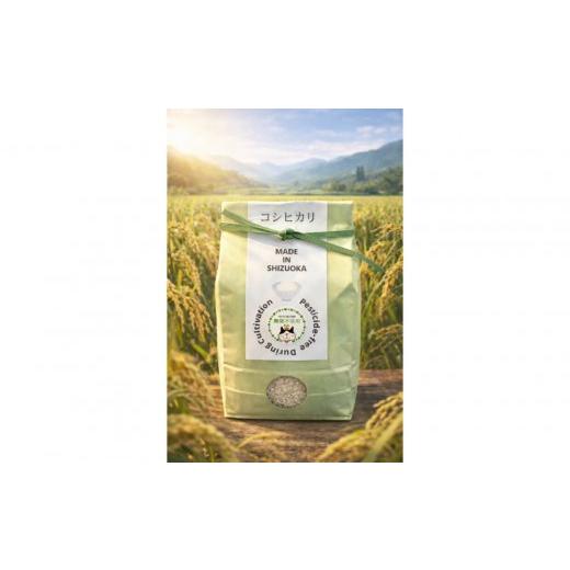 ふるさと納税 米 コシヒカリ 静岡県 静岡市 令和7年産 静岡県産こしひかり2kg/栽培期間中農薬不使用