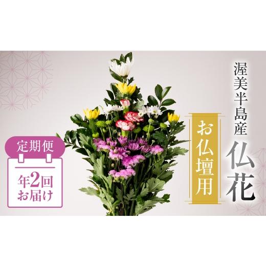 ふるさと納税 花・苗木 花束 愛知県 田原市 定期便 年2回 産地直送 [お仏壇用] 仏花 日時指定可 生産額 日本一 田原市 渥美半島 お彼岸 鮮度 生花 お花 定…