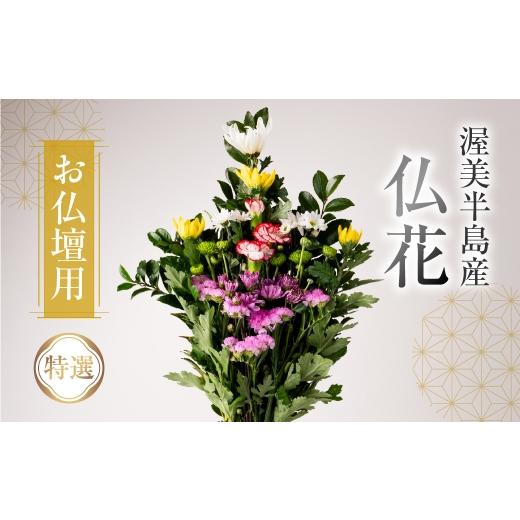 ふるさと納税 花・苗木 花束 愛知県 田原市 通常配送 日時指定可 産地直送 [お仏壇用] 仏花 特選 日時指定可 生産額 日本一 田原市 渥美半島 月命日 お彼岸…