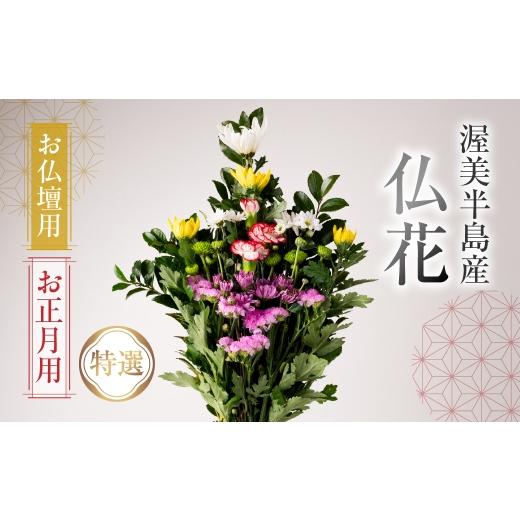 ふるさと納税 花・苗木 花束 愛知県 田原市 お正月用 産地直送 [お仏壇用] 仏花 特選 日時指定可 生産額 日本一 田原市 渥美半島 年末 鮮度 生花 お花 お墓…