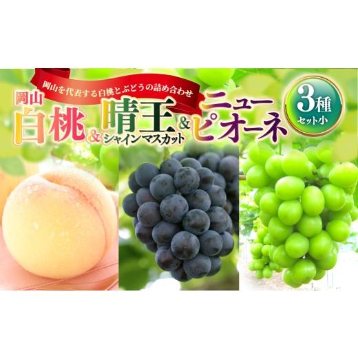 ふるさと納税 果物の詰合せ 岡山県 奈義町 岡山白桃 & 晴王 シャインマスカット & ニューピオーネ セット小 桃 くだもの 果物 フルーツ 果実 もも モモ 白桃…