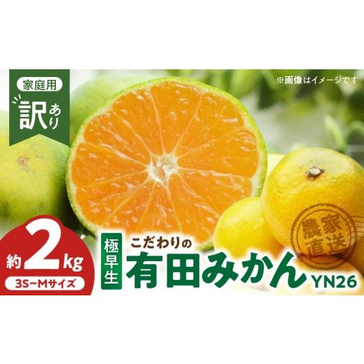 ふるさと納税 果物類 みかん 和歌山県 湯浅町 ZT6407_ 2026年先行予約 こだわりの有田みかん 極早生 YN26 約2kg サイズ3S〜M
