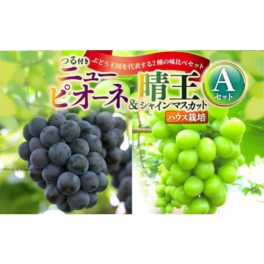 ふるさと納税 果物の詰合せ 岡山県 奈義町 つる付き ニューピオーネ&晴王 シャインマスカット Aセット ハウス栽培 食べ比べ ブドウ ぶどう 葡萄 果物 くだも…