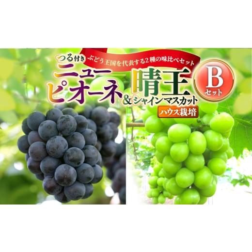 ふるさと納税 果物の詰合せ 岡山県 奈義町 つる付き ニューピオーネ & 晴王 シャインマスカット Bセット ハウス栽培 ブドウ ぶどう 葡萄 果物 くだもの フル…