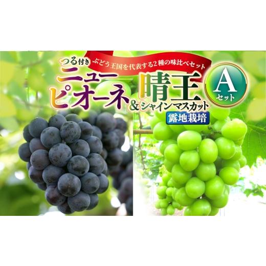 ふるさと納税 果物の詰合せ 岡山県 奈義町 つる付き ニューピオーネ & 晴王 シャインマスカット Aセット 露地栽培 ブドウ ぶどう 葡萄 果物 くだもの フルー…