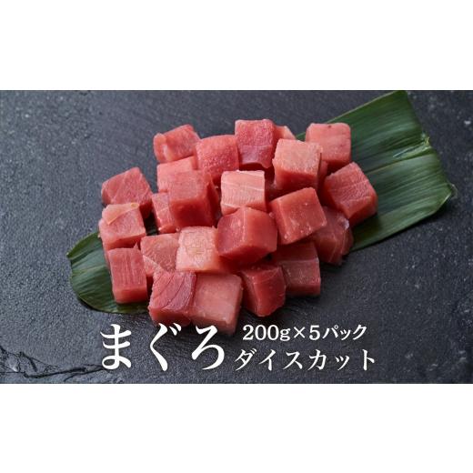 ふるさと納税 マグロ 千葉県 船橋市 天然マグロダイスカット 200g×5PC