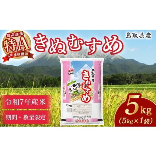 ふるさと納税 米 きぬむすめ 鳥取県 倉吉市 通常発送 数量限定 令和7年産米 鳥取県産 きぬむすめ (5kg) パールライス 令和7年産米 精米 お米 米 こめ コメ …