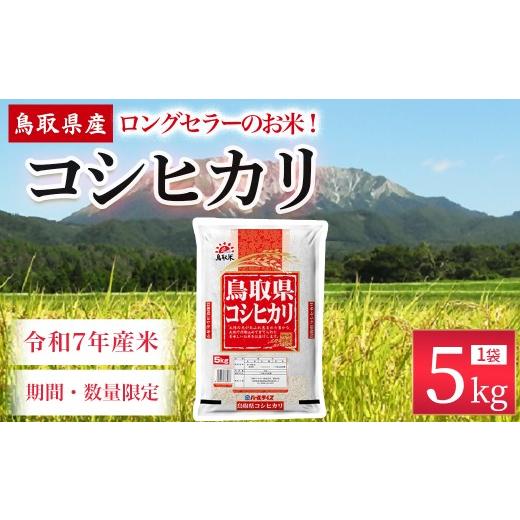 ふるさと納税 米 コシヒカリ 鳥取県 倉吉市 通常発送 数量限定 令和7年産米 鳥取県産 コシヒカリ (5kg) パールライス 令和7年産米 精米 お米 米 こめ コメ …
