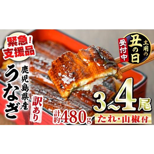 ふるさと納税 うなぎ 鹿児島県 東串良町 0134350a-2607 土用丑の日までにお届け 緊急支援品 訳あり 鰻の蒲焼き(無頭)(3〜4尾・計約480g・タレ、山椒付) うな…