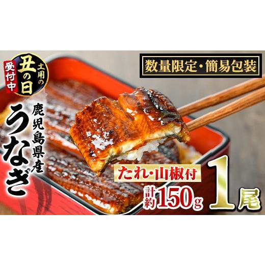 ふるさと納税 うなぎ 鹿児島県 東串良町 0074325a-2607 土用丑の日までにお届け 数量限定・宅配袋発送 東串良町のうなぎ蒲焼(無頭)(1尾・約150g・タレ、山椒…